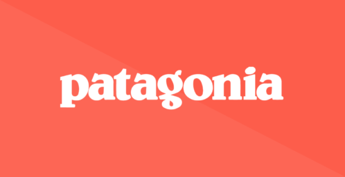 Patagonia Streamlines Performance Management with Kazoo [Case Study]